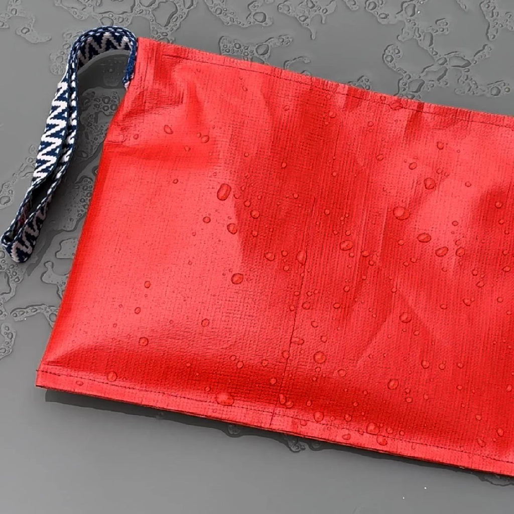 Paris Nice Tent Cloth (Taquiina) Clutch