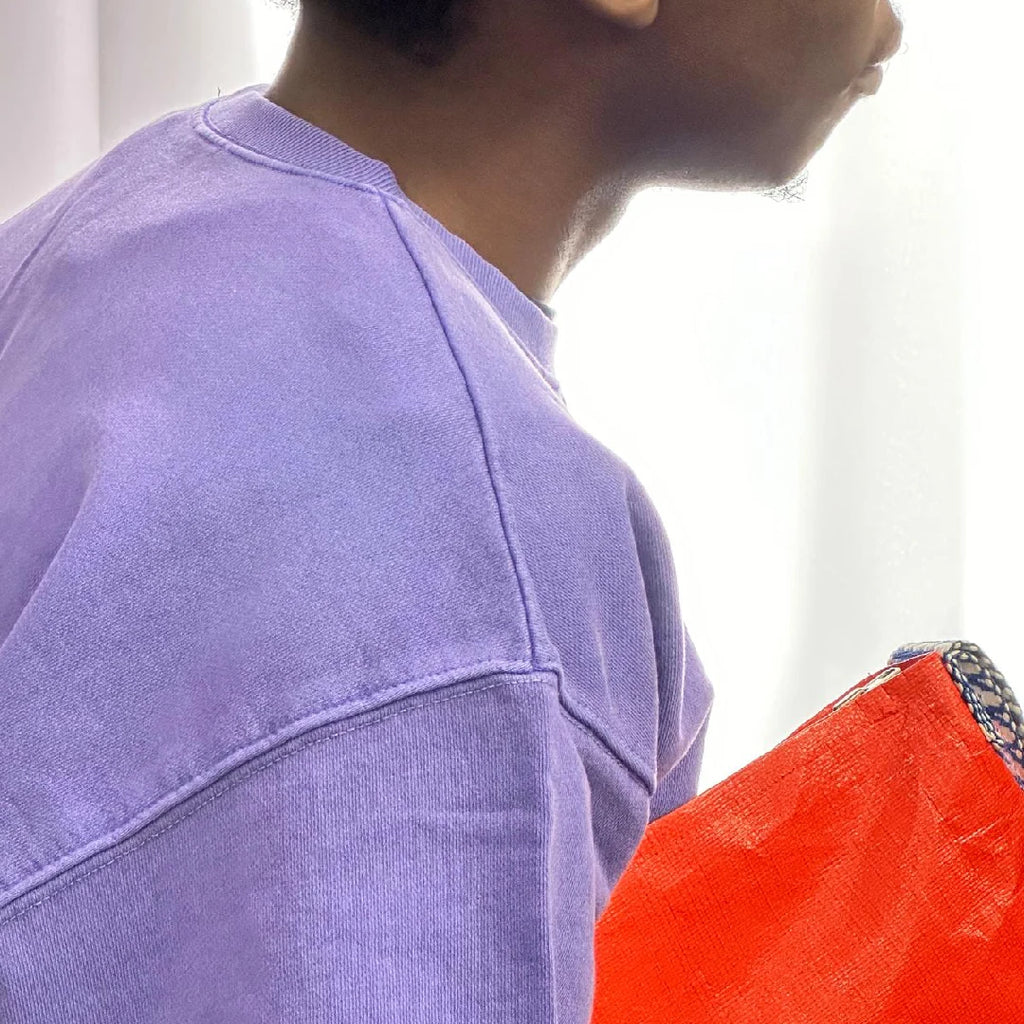 Paris Nice Tent Cloth (Taquiina) Clutch